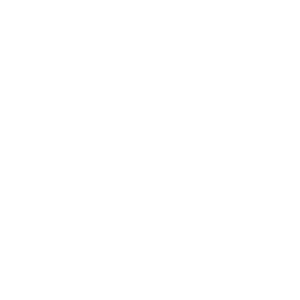 icon security